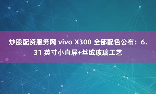 炒股配资服务网 vivo X300 全部配色公布：6.31 英寸小直屏+丝绒玻璃工艺