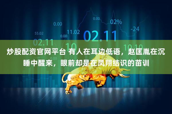 炒股配资官网平台 有人在耳边低语，赵匡胤在沉睡中醒来，眼前却是在凤翔结识的苗训
