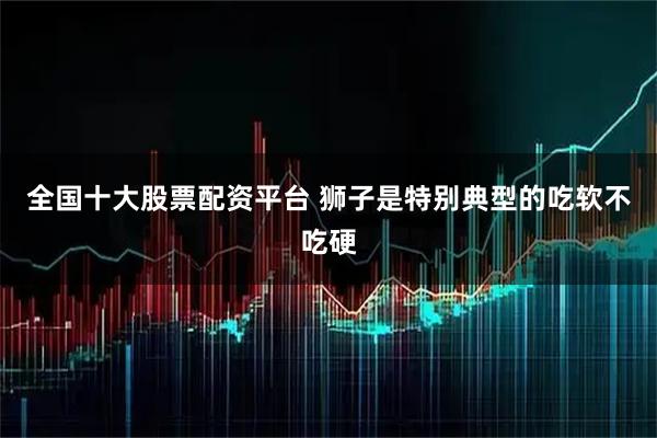 全国十大股票配资平台 狮子是特别典型的吃软不吃硬