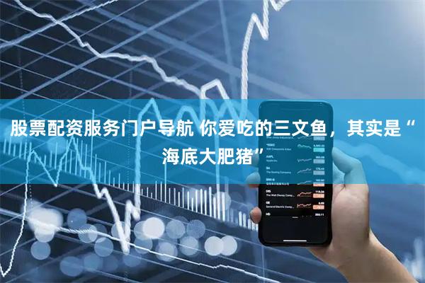 股票配资服务门户导航 你爱吃的三文鱼，其实是“海底大肥猪”